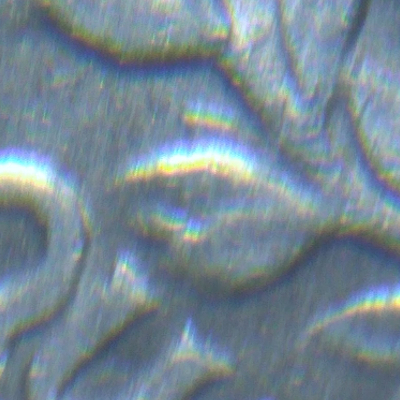 1964-D-Quarter-Very-Distinct-Die-Gouge-Some-Doubling